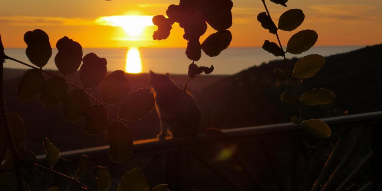 Nel Verde Del Villaggio - Casetta Celeste Gonnesa Exterior foto